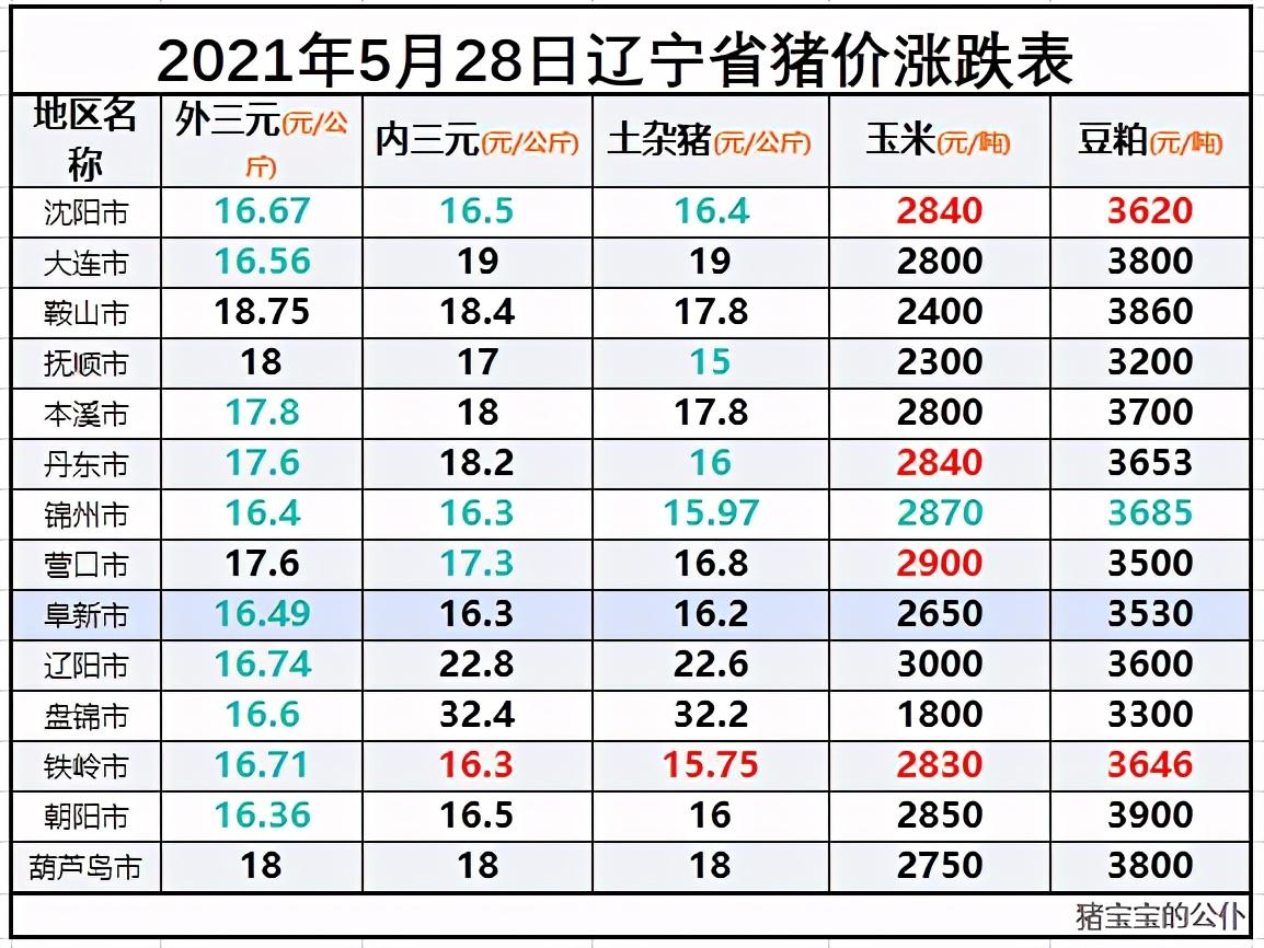 娱乐/视频 第77页