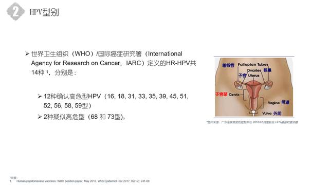 HPV疫苗新进展，健康守护新篇章