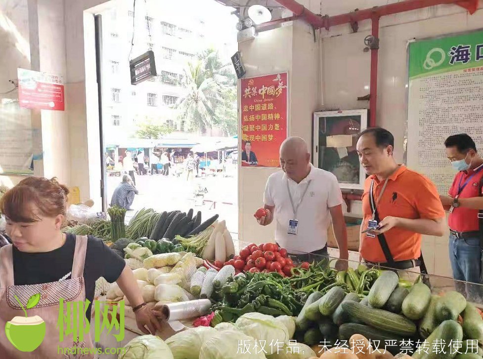 最新蚕豆批发市场动态：价格行情实时追踪