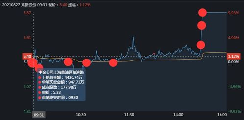 兆新股份股价动态：最新资讯一览无遗